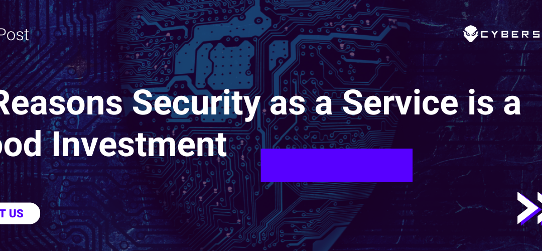 5 Reasons Security as a Service is a Good Investment
