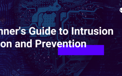A Beginner’s Guide to Intrusion Detection and Prevention