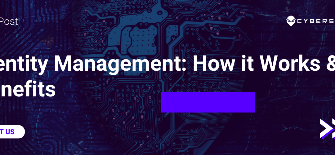 Blog post on "Identity Management: How it Works & its Benefits"