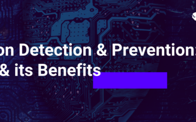 Intrusion Detection & Prevention: How it Works & its Benefits