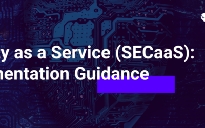 Security as a Service (SECaaS): Implementation Guidance