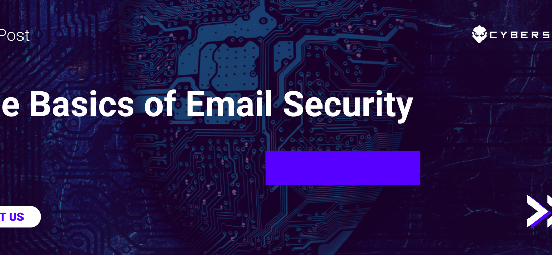 The Basics of Email Security: A Comprehensive Guide