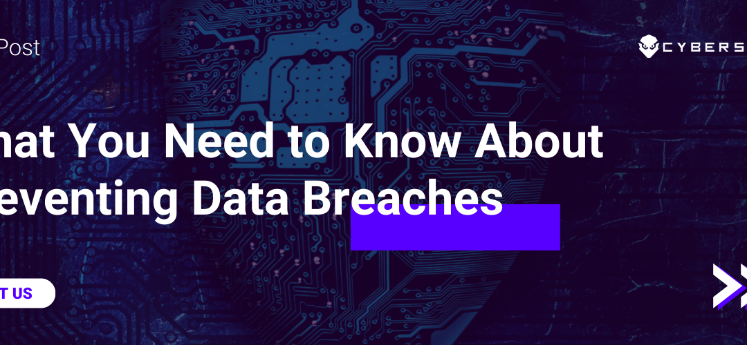 What You Need to Know About Preventing Data Breaches