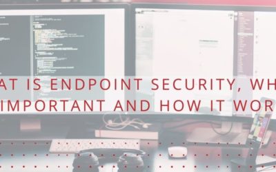 What is Endpoint Security, Why It’s Important and How It Works