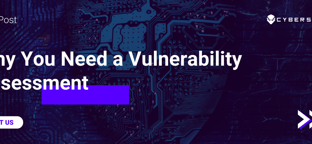 Why You Need a Vulnerability Assessment – Explained