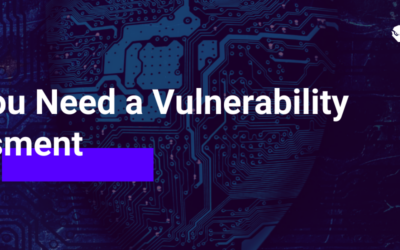 Why You Need a Vulnerability Assessment – Explained