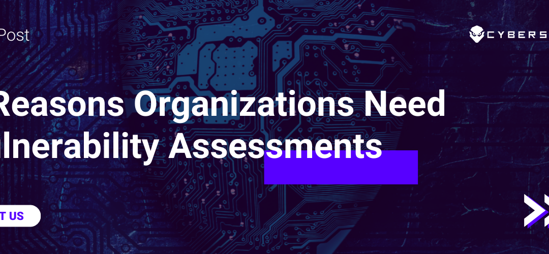 6 Reasons Organizations Need Vulnerability Assessments