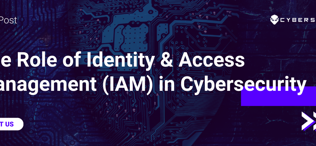 Cyber Sainik logo placed at the top left amidst a cyber security-inspired setting. Text overlay highlights 'The Role of Identity & Access Management (IAM) in Cybersecurity'.