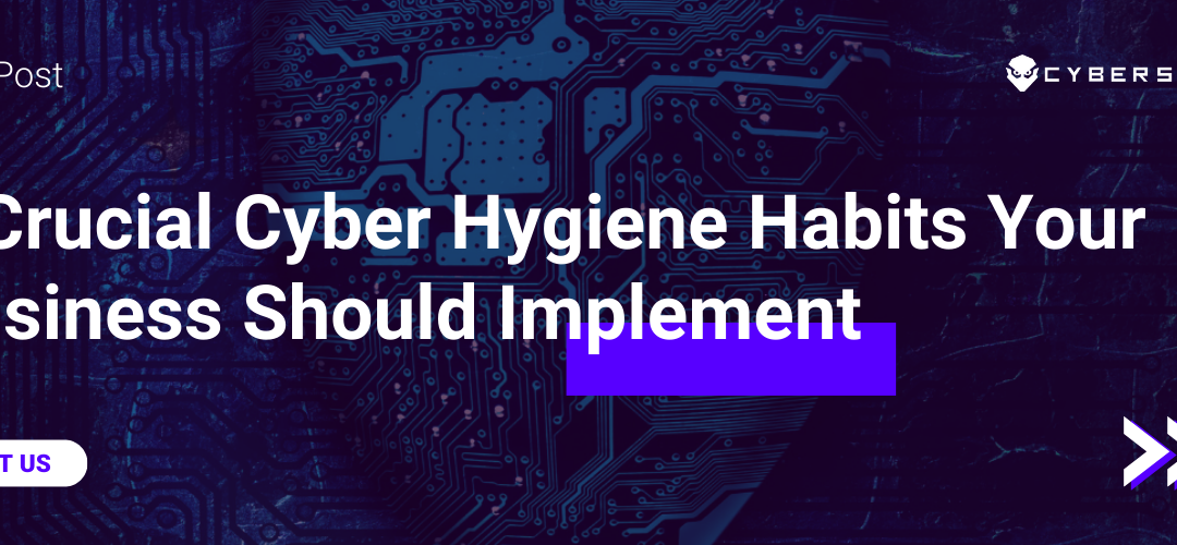 9 Crucial Cyber Hygiene Habits Your Business Should Implement