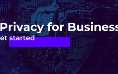 Data Privacy for Businesses: How to Get Started